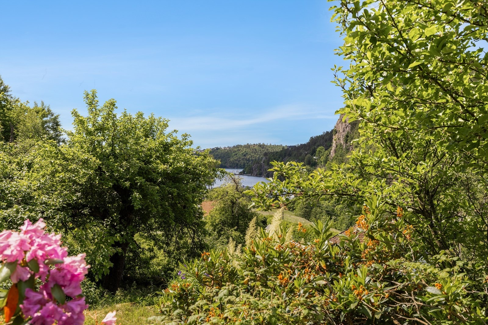 Utsikt fra hage Galleribilde