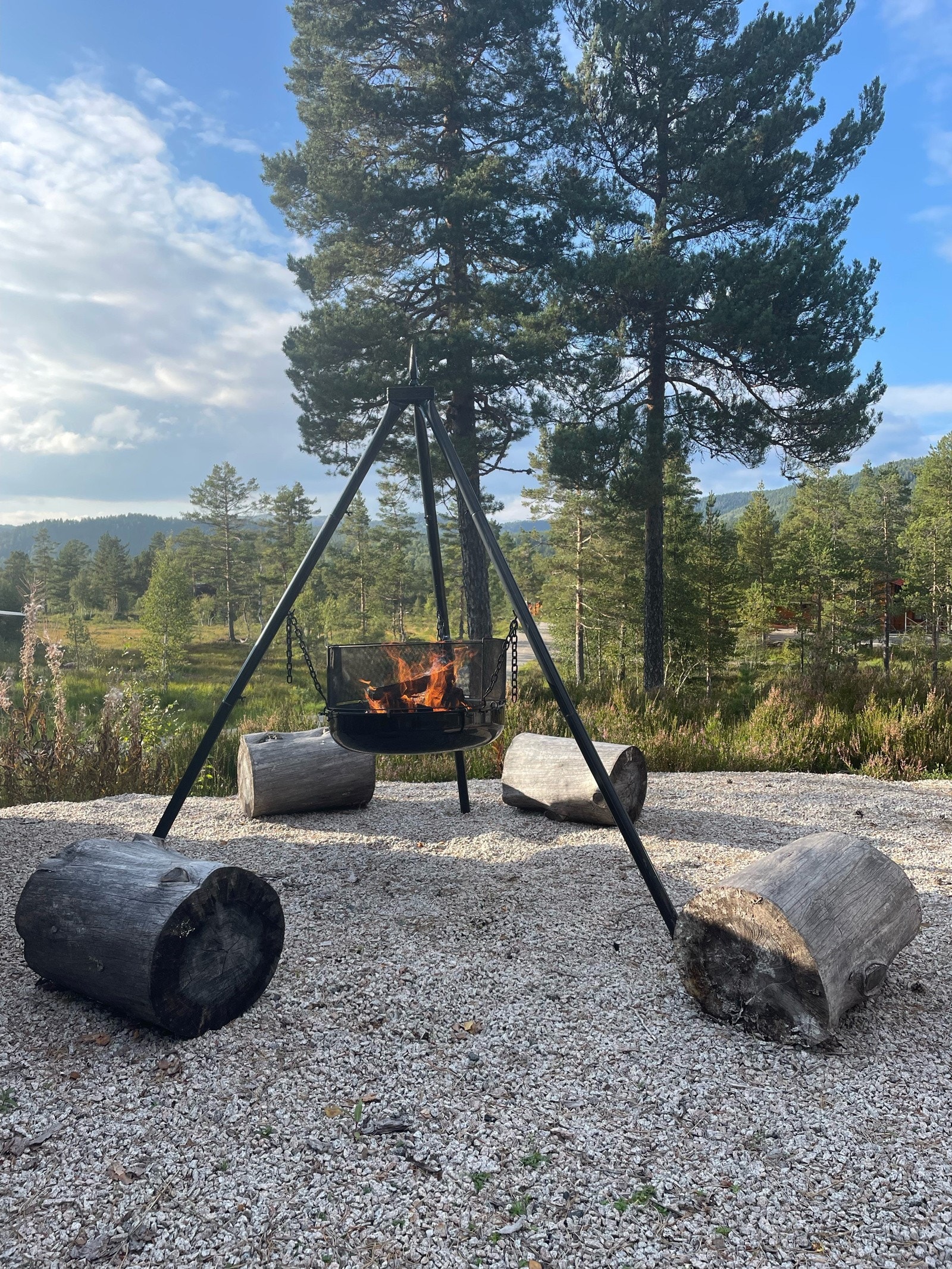 Selgers egne bilder Galleribilde