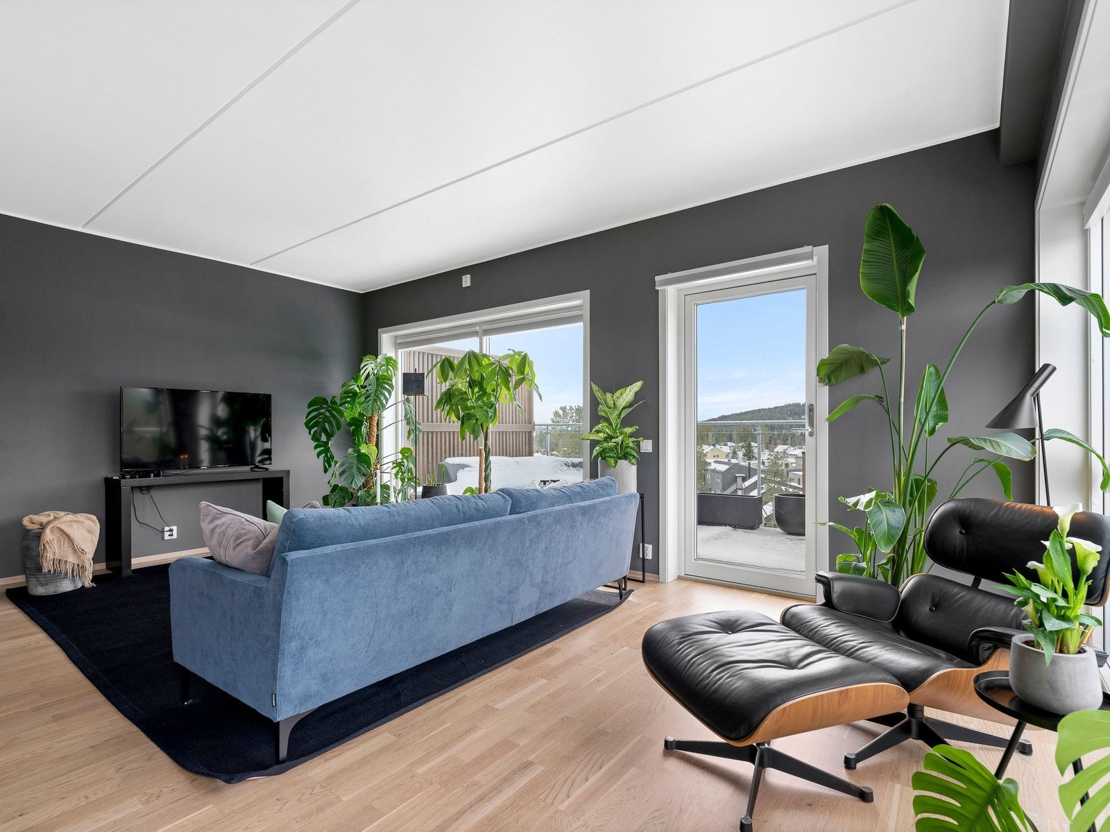 Utsikten fra leiligheten er unik og flott Galleribilde