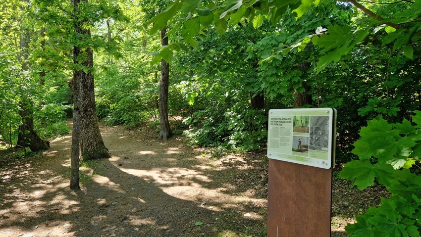 Bergskogen ligger på andre siden av Bergbrua og leder til Bergsalléen og Ullevål Hageby. Galleribilde