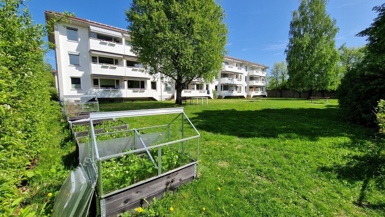 Borettslaget er velholdt og ligger i en oase av grønt! God plass mellom blokkene, store plenarealer, trær, busker og dyrkekasser. Lekeplass for de minste. Galleribilde