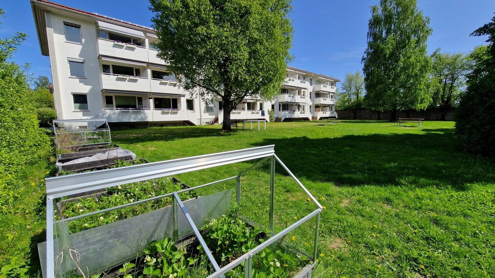 Fasade. Galleribilde