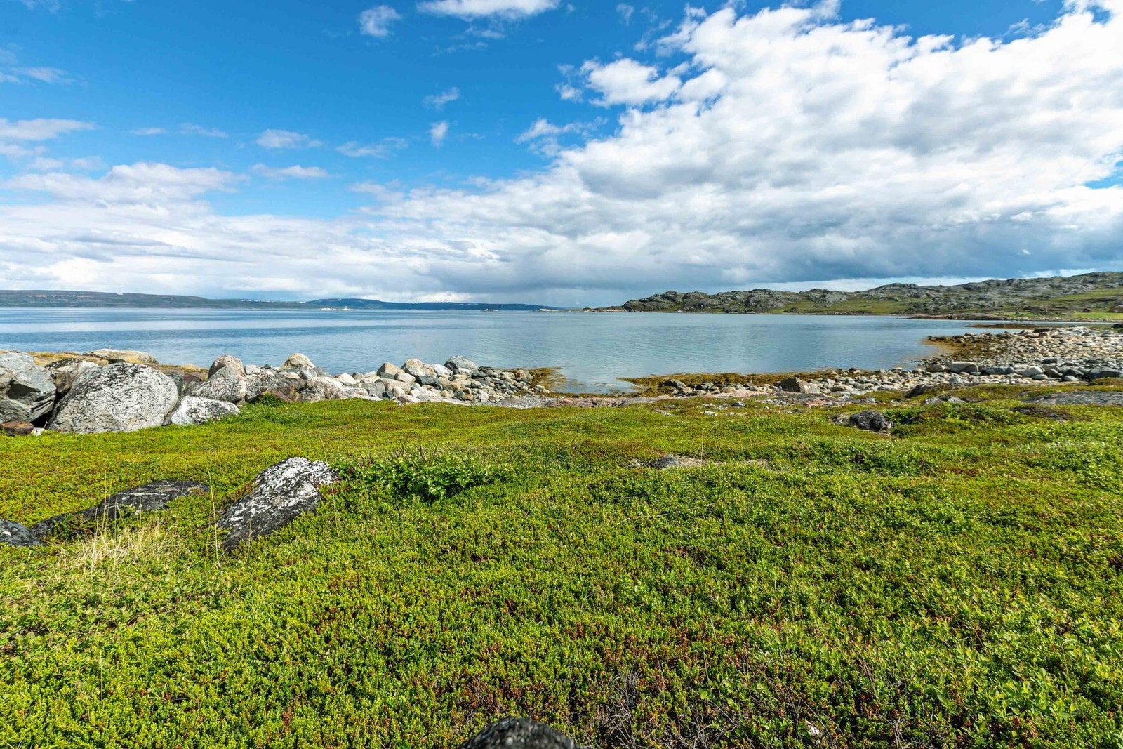 Utsikt mot nord-øst Galleribilde