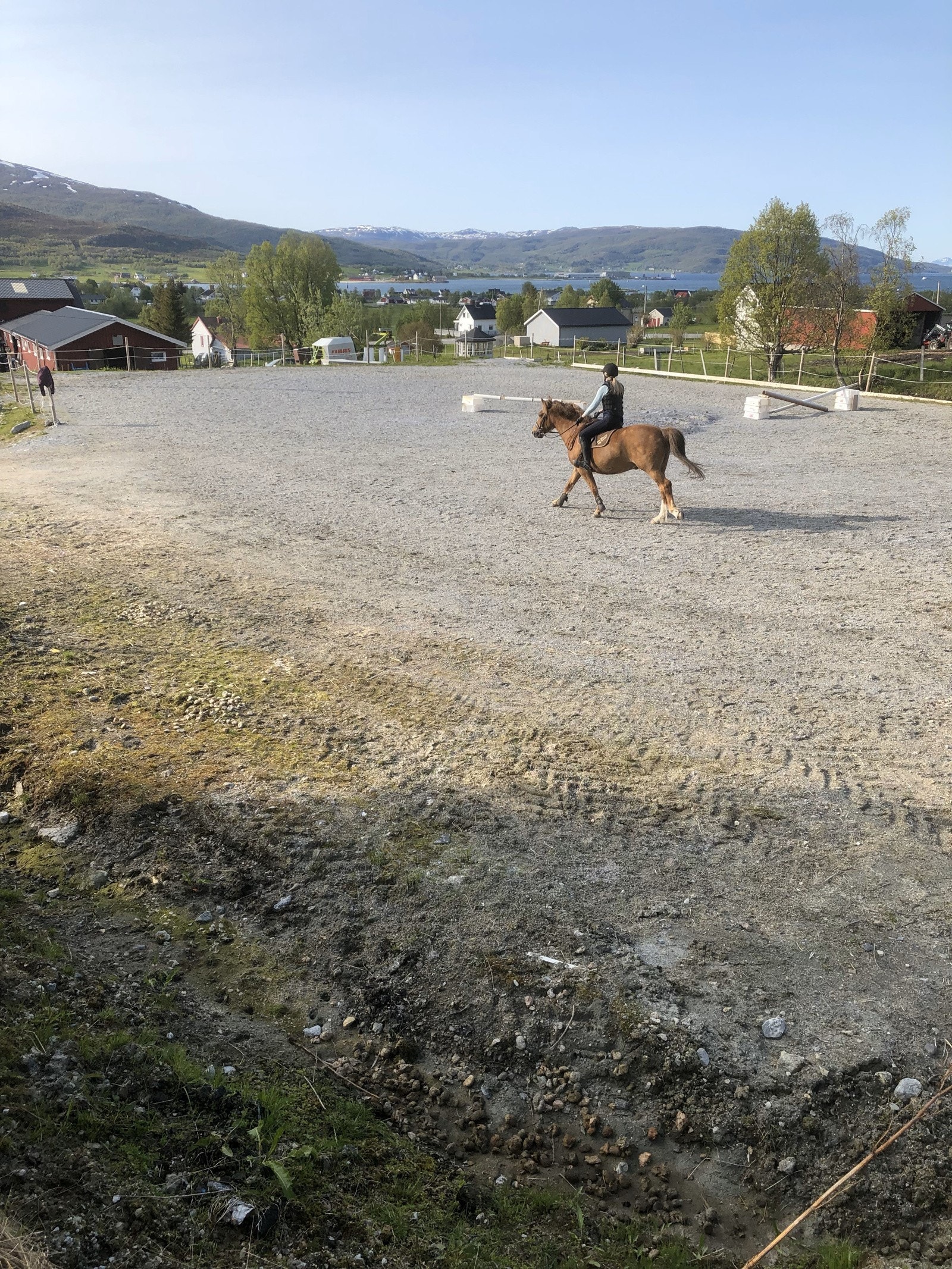 Ridebane Galleribilde