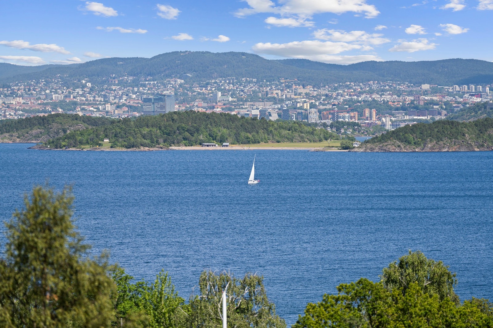 Utsikt. Galleribilde