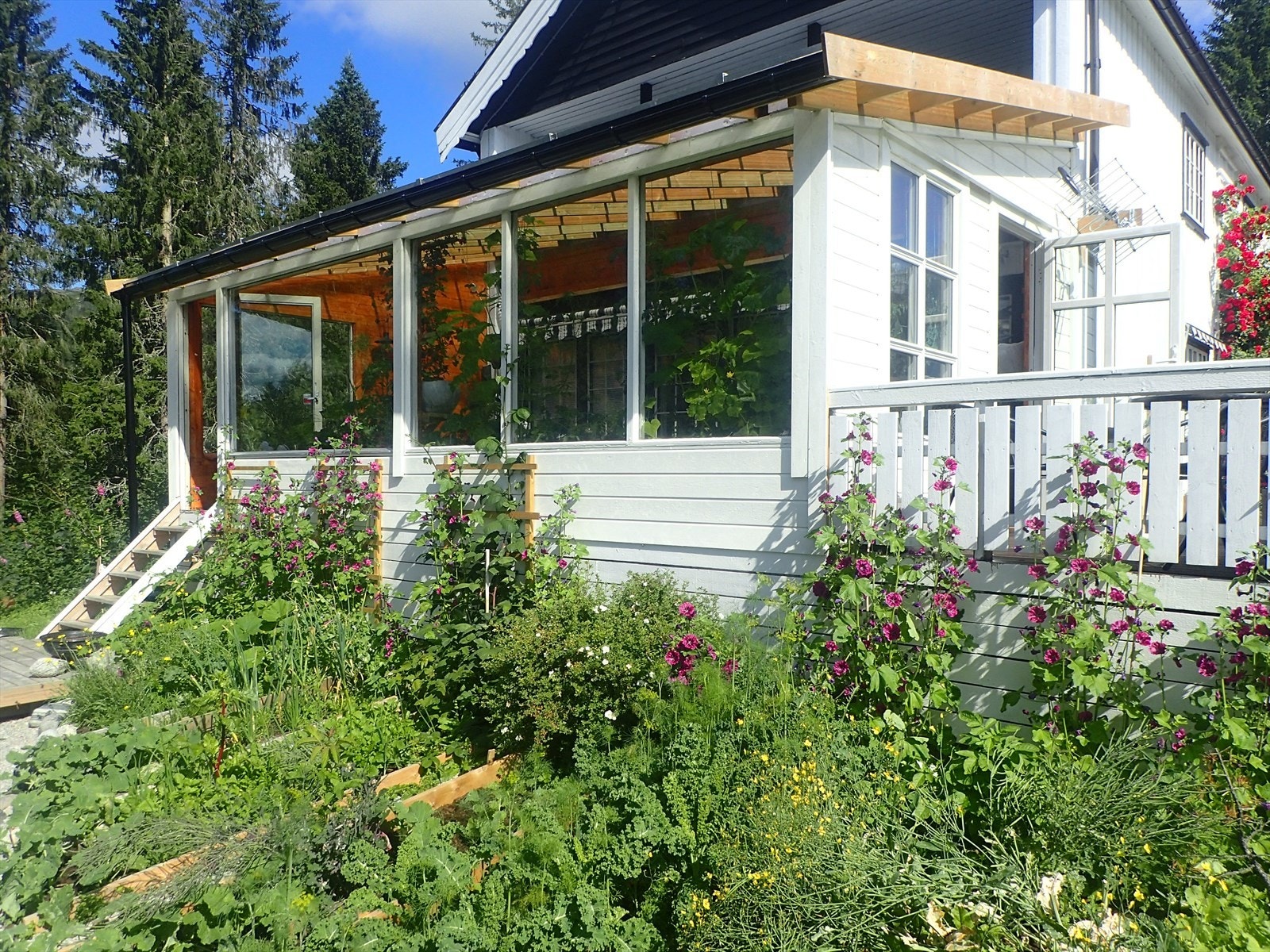 Vinterhage på 27 m² ble etablert i 2024 og er 1 av 3 stuer i hovedhuset. Galleribilde