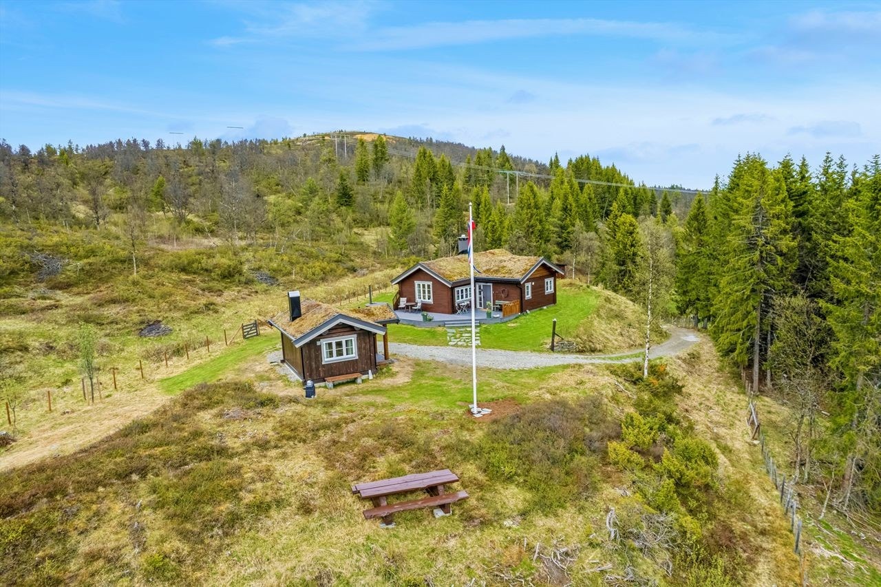 Høytliggende eiendom 835 moh. Rett under tregrensa med umiddelbar nærhet til fjellet. Galleribilde