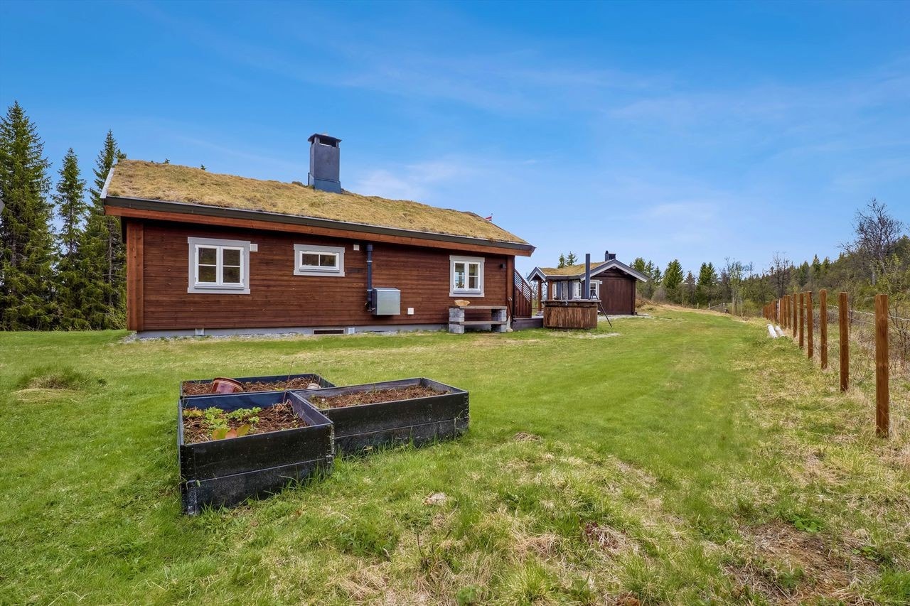 Velstelt tomt med grønne plenarealer Galleribilde