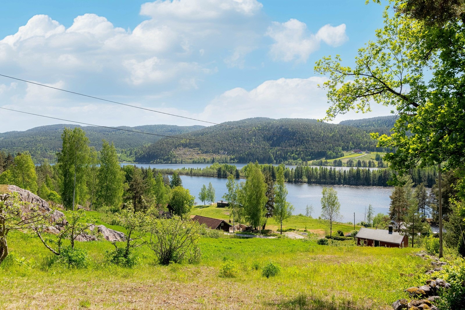 Utsikt. Galleribilde