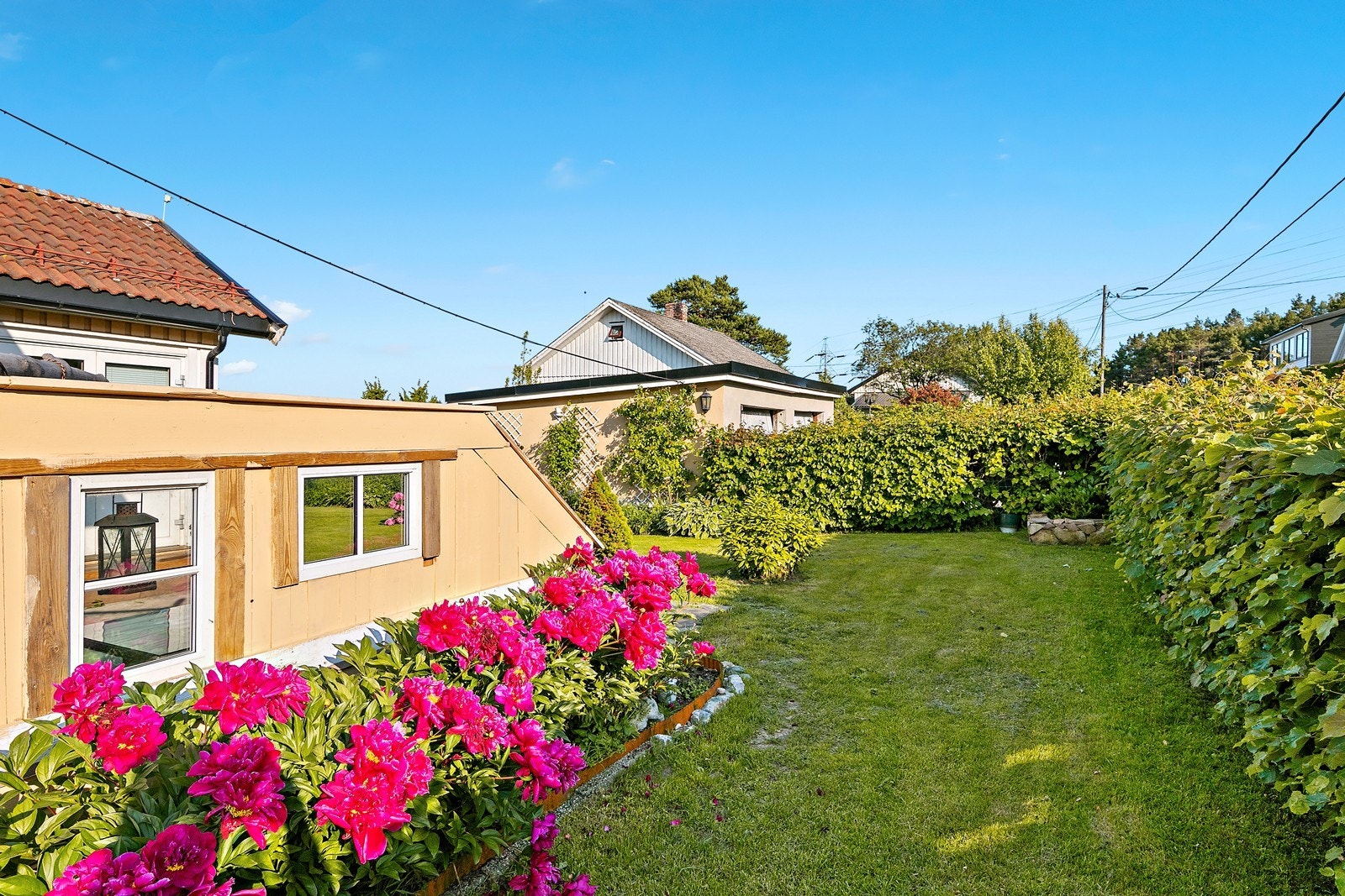 Flott beplantning i hage, med blomsterbed og prydbusker Galleribilde