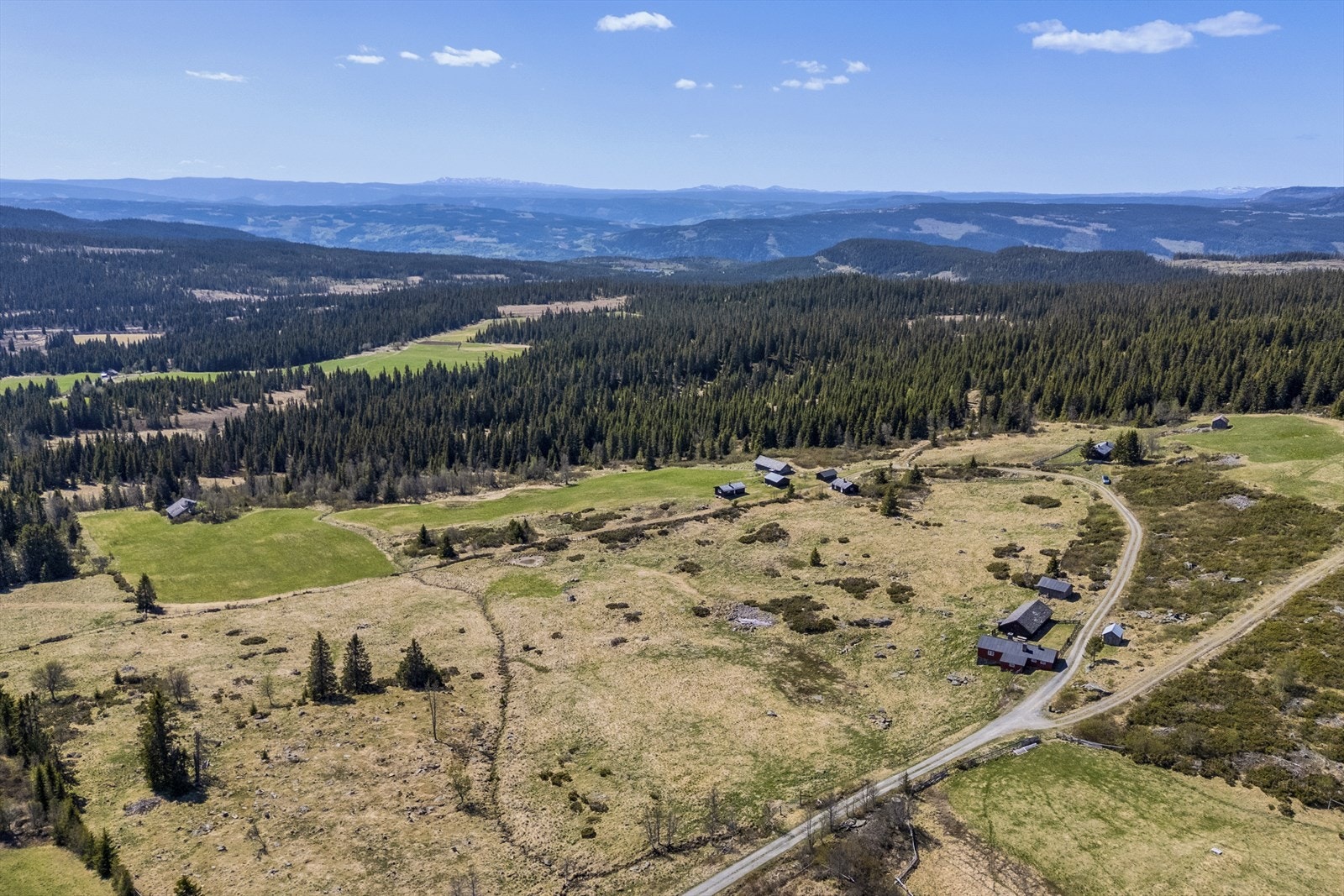 Det er beitemuligheter rundt sætertunet Galleribilde