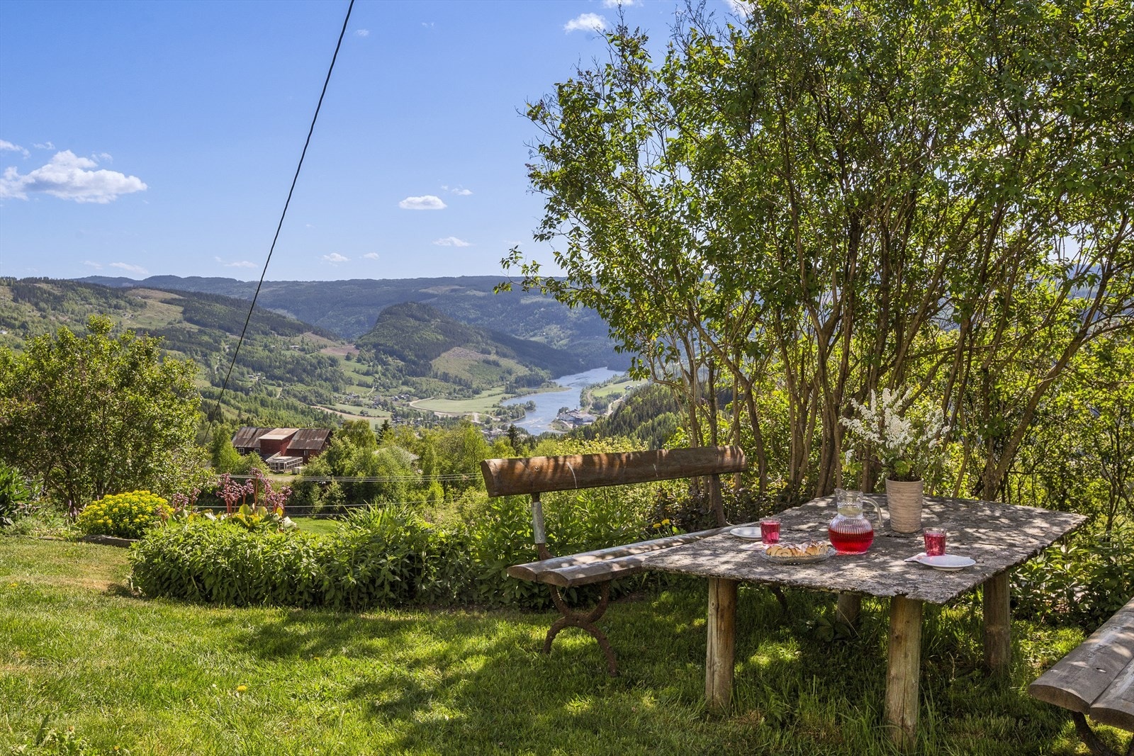 Utekos på tunet Galleribilde