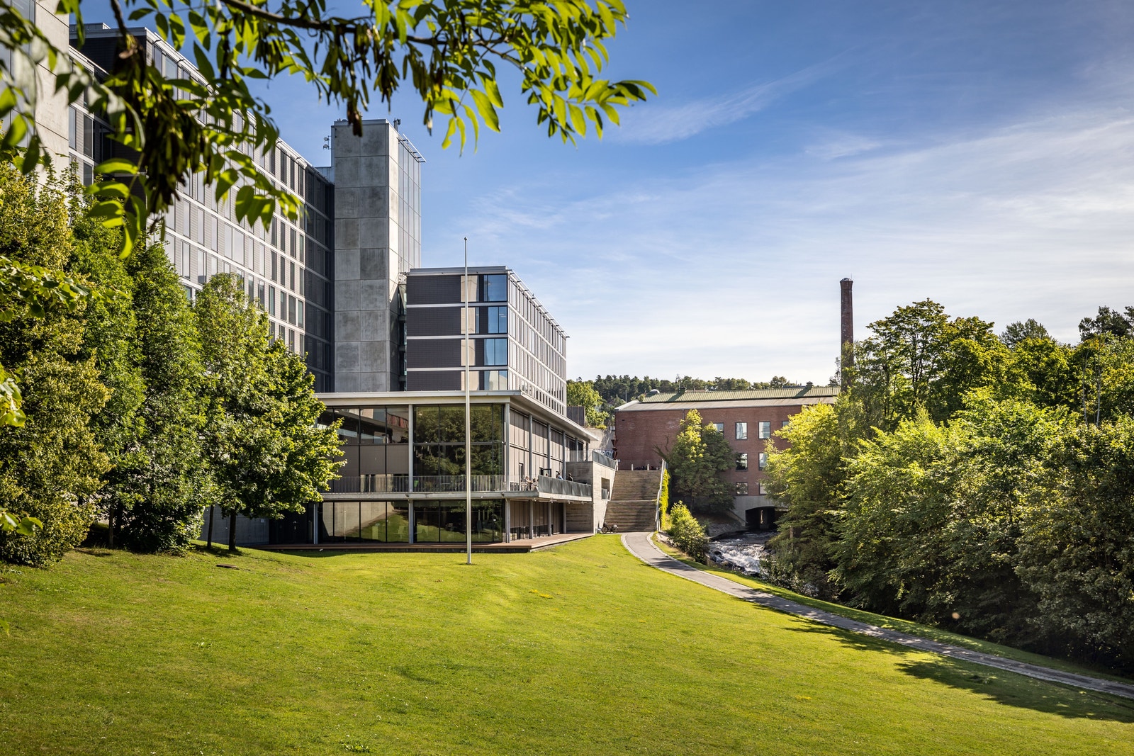 Det er grønt og frodig rundt eiendommen Galleribilde