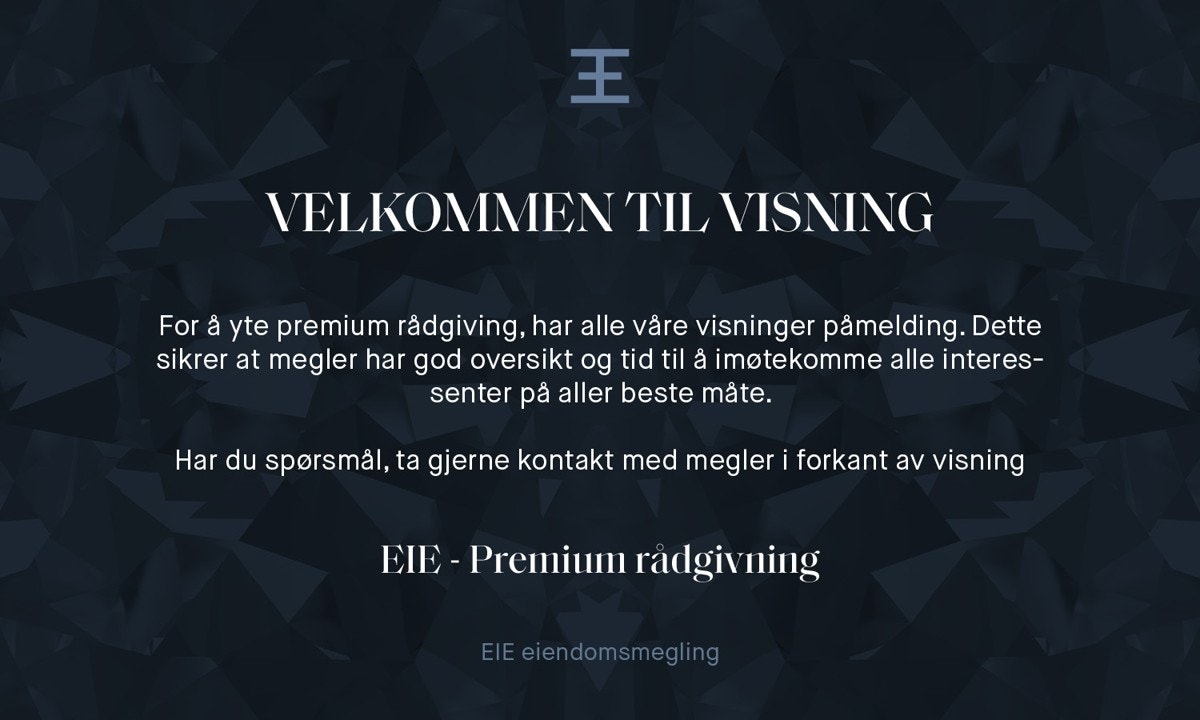 Informasjon vedr. visning. Galleribilde