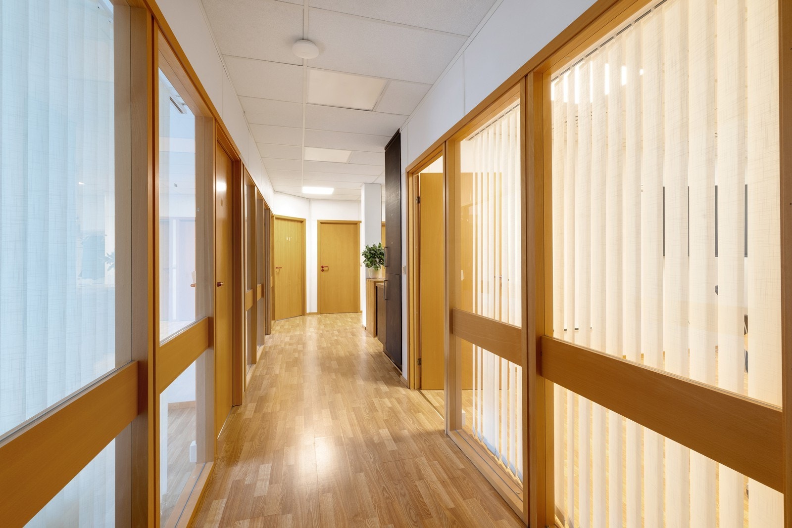 Kontorlokaler. Galleribilde