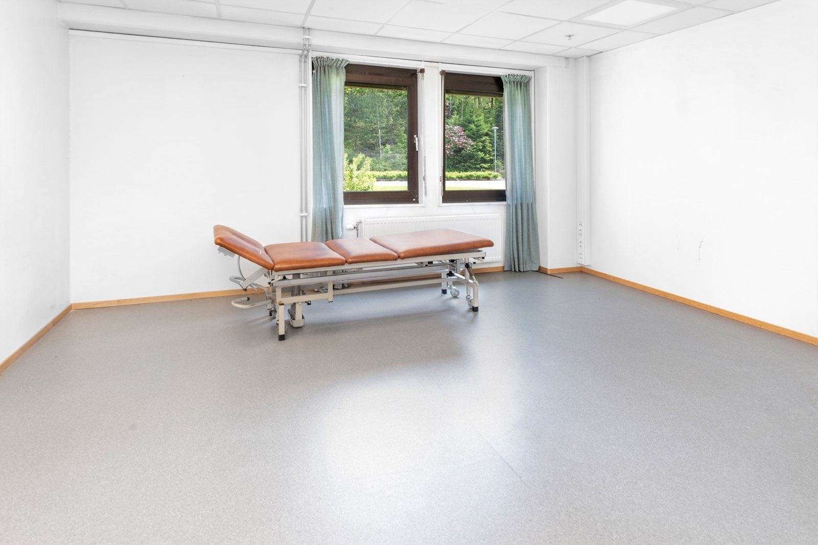 Terapirom. Galleribilde