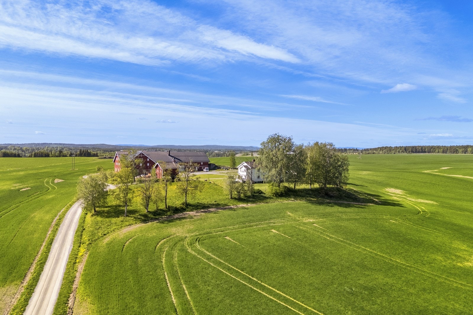 Fulldyrka på 686 daa. Galleribilde