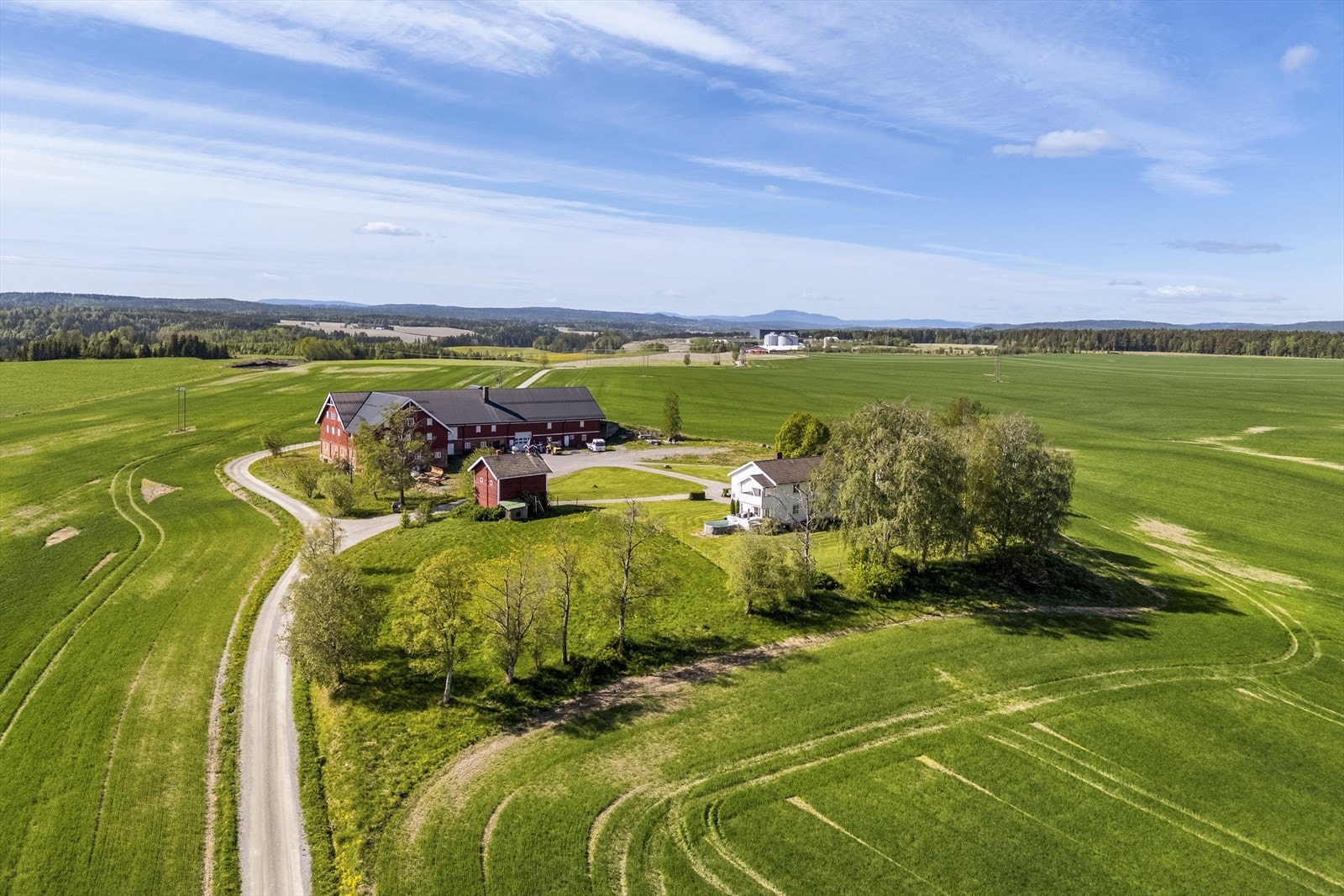 Jorda er i 2 store skifter, bare delt av gårdsvegen Galleribilde