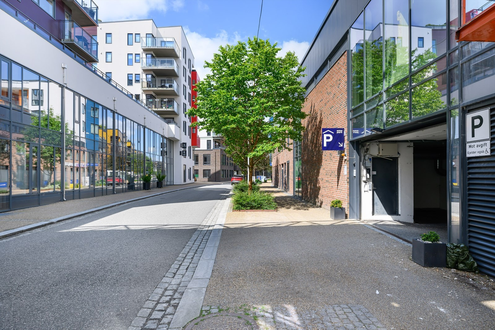 DSC 5009