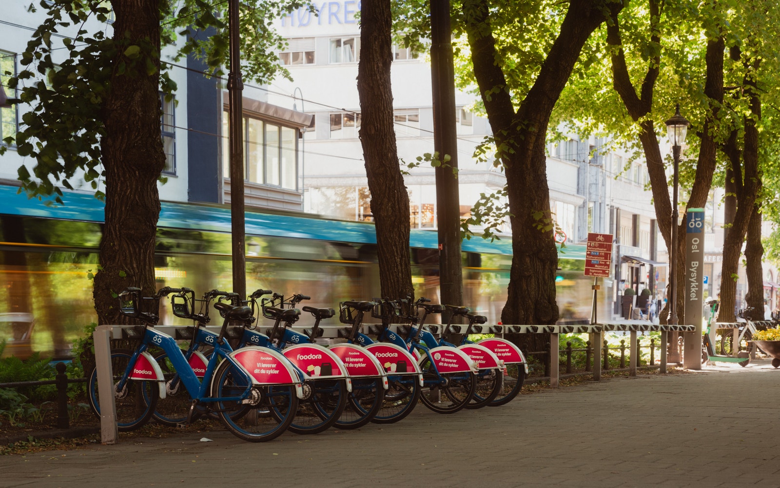 Alt innen rekkevidde Galleribilde