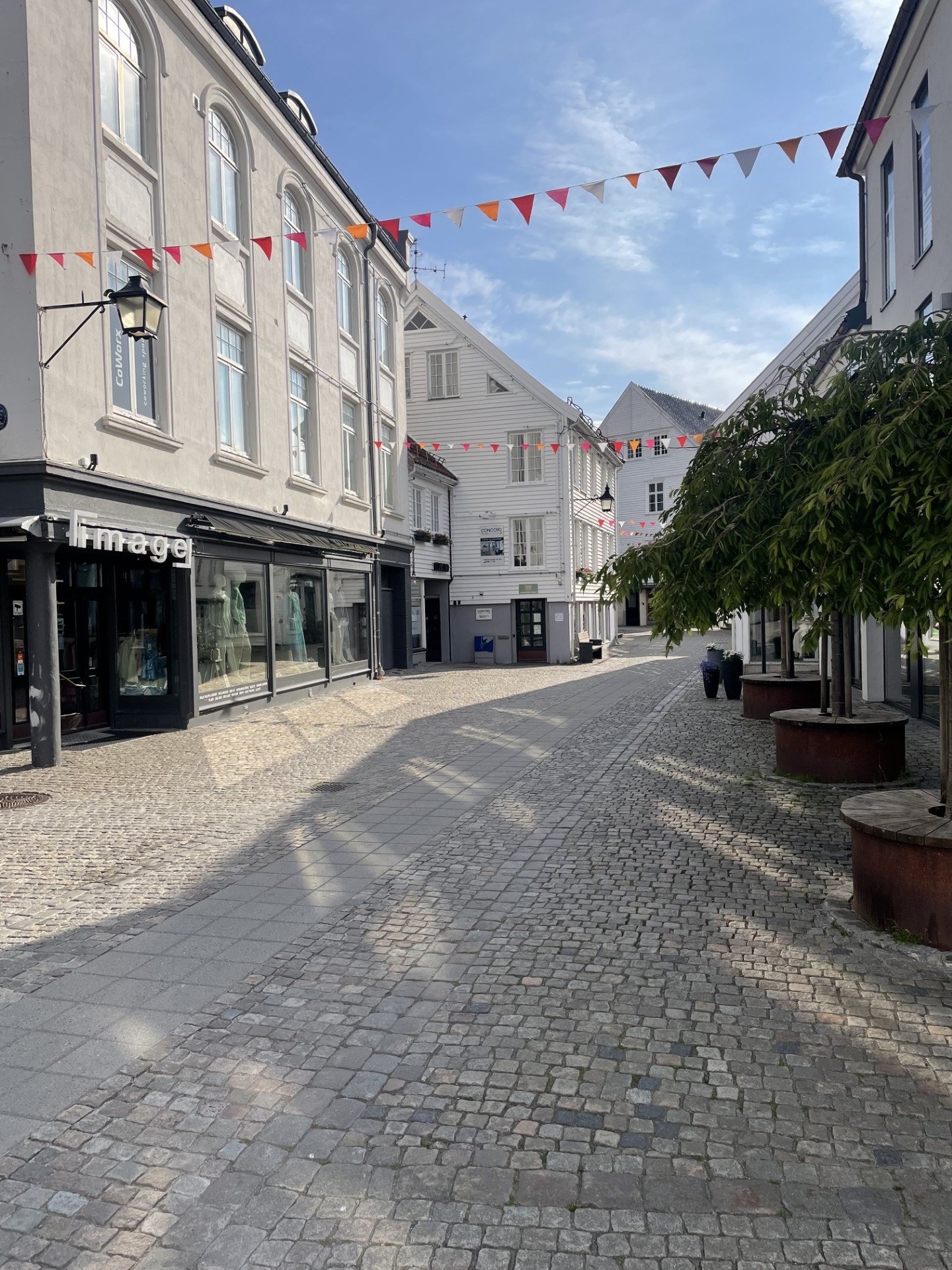 Store Elvegate 19, fasade Galleribilde