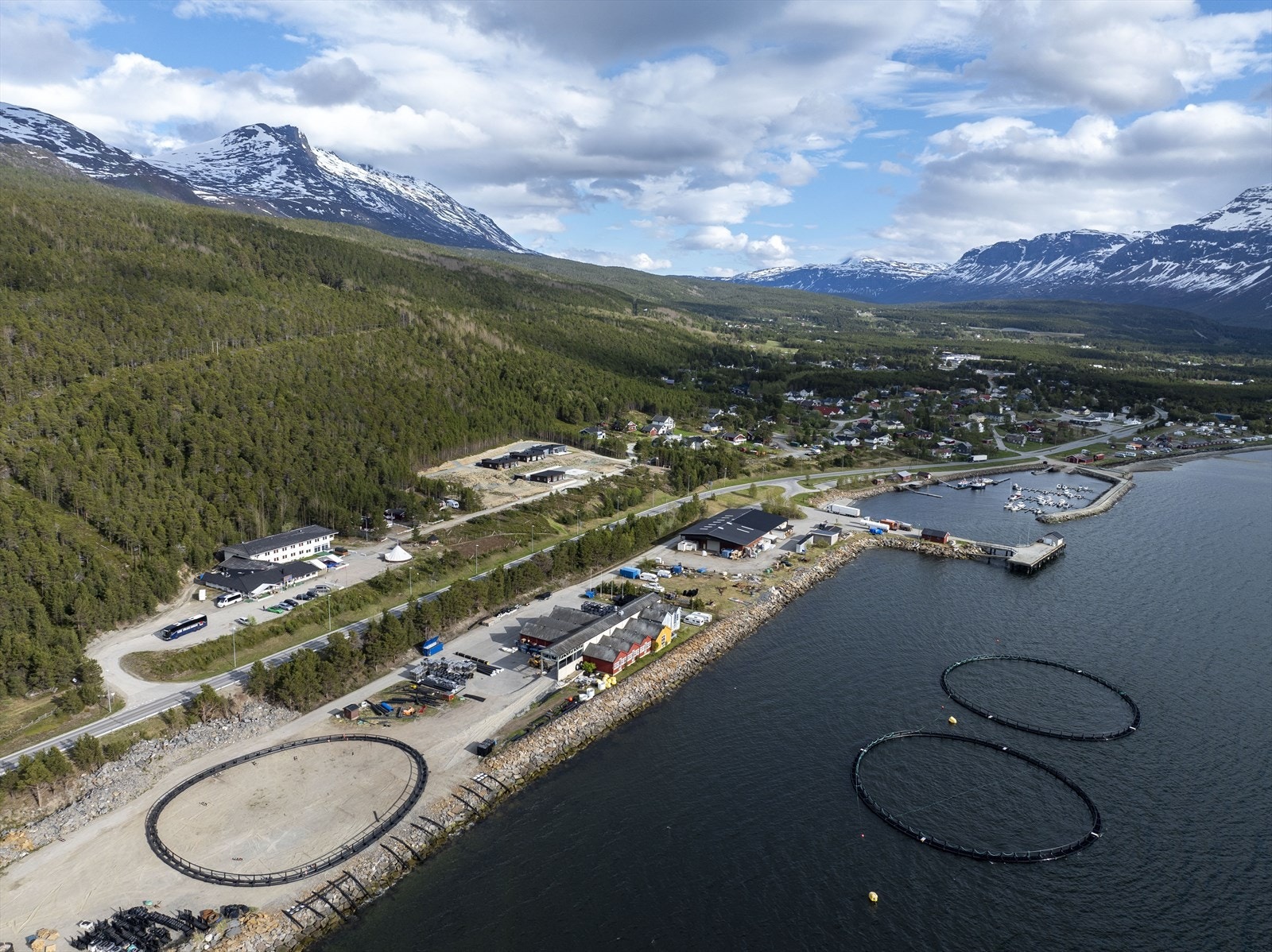 Mot Finland Galleribilde