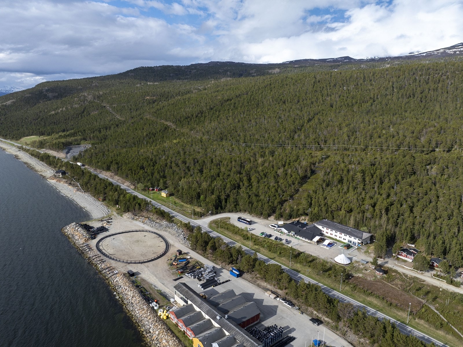 Skog er ryddet på tomten Galleribilde