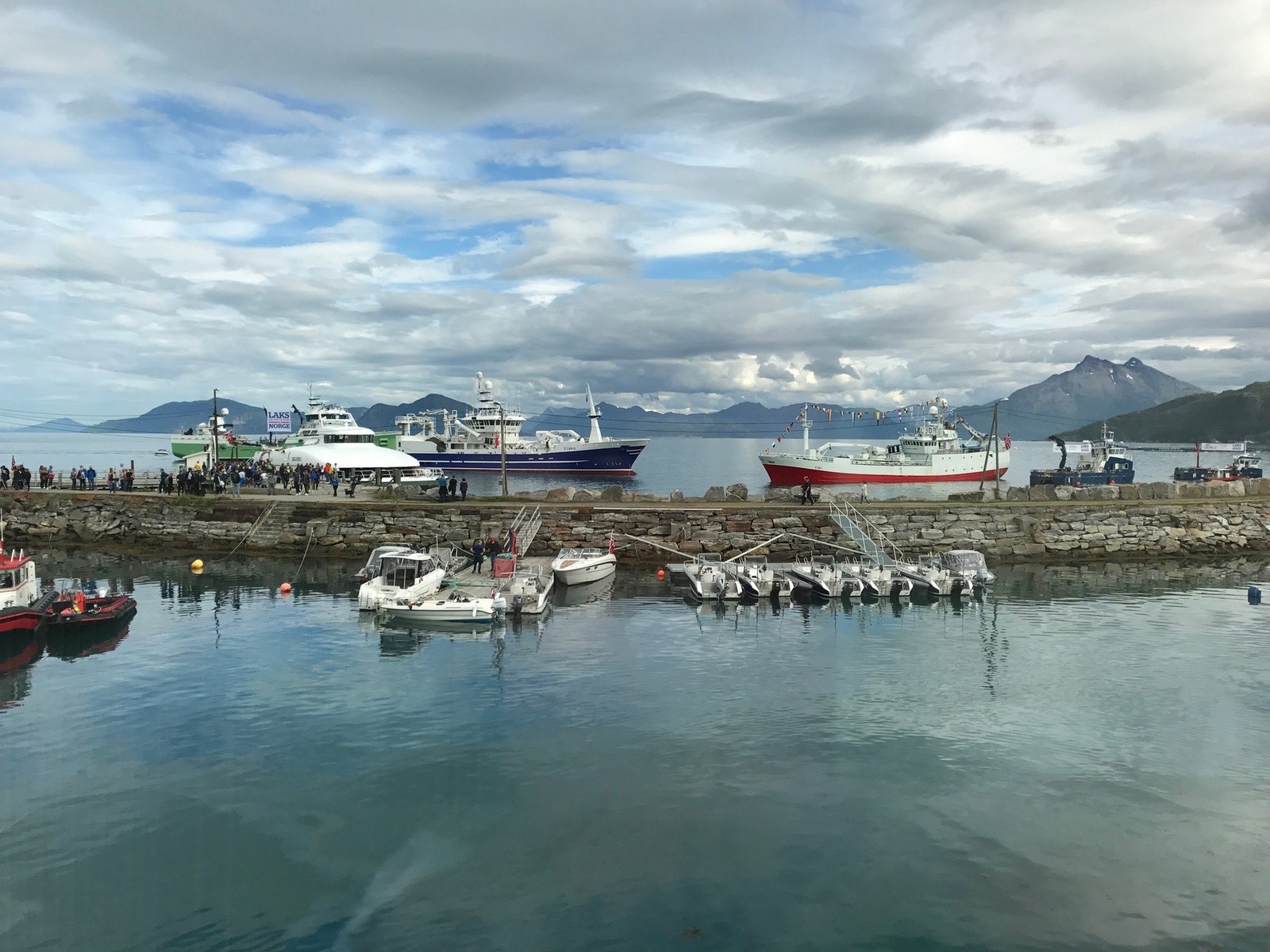 Ypperlig beliggenhet for sjønæring midt mellom Lofoten og Finnmark - hurtigbåtkai rett ved siden av som tar deg til Harstad, Finnsnes og Tromsø Galleribilde