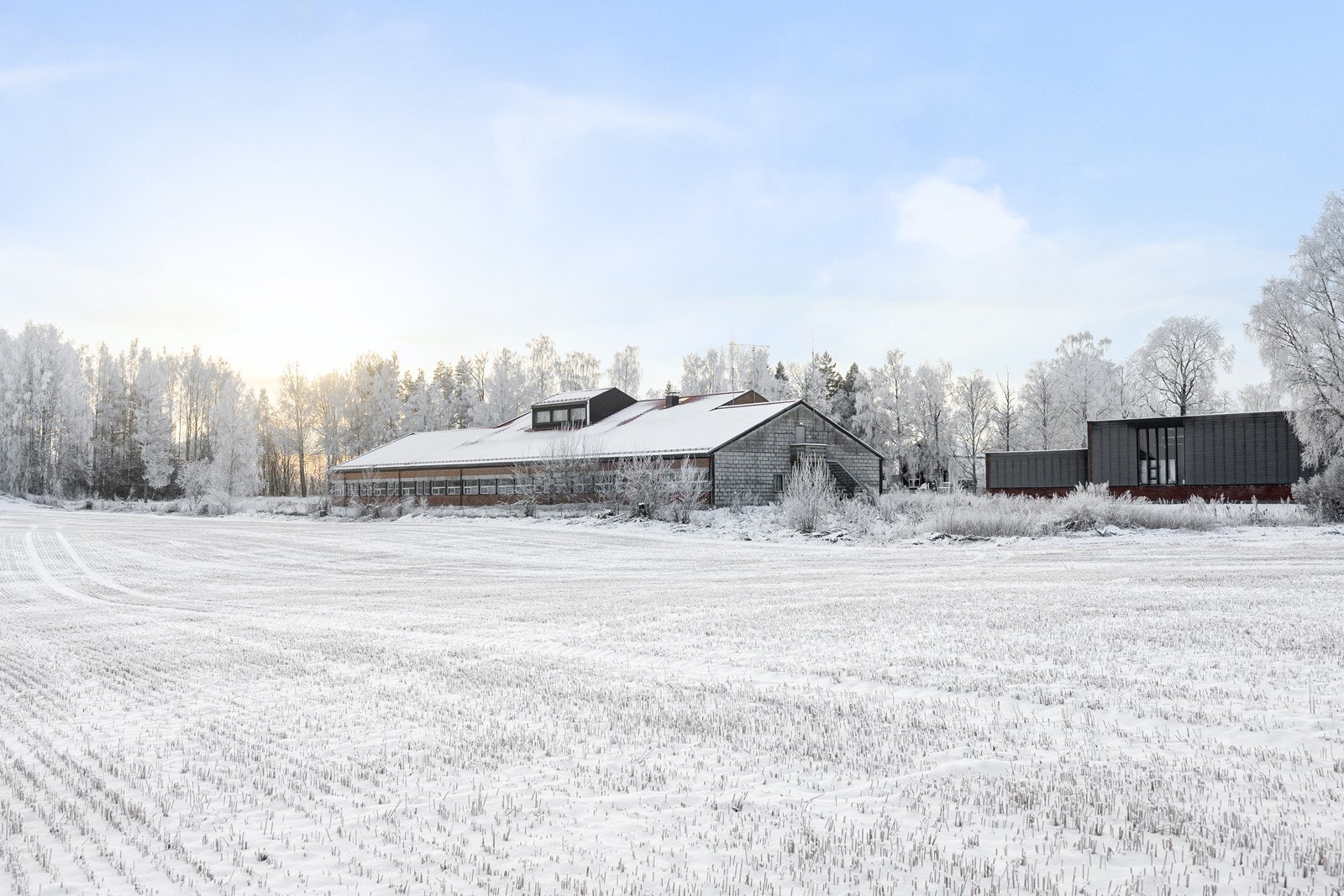 Eiendommen er relativt flat og grenser inntil LNF områder. Galleribilde