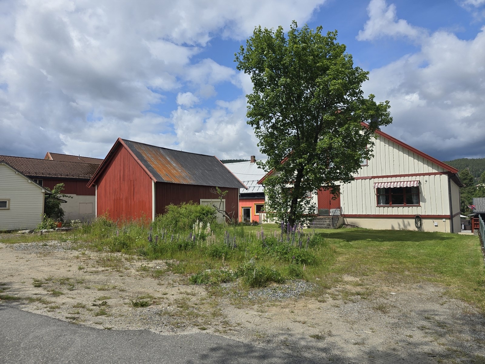 Bakhage Galleribilde