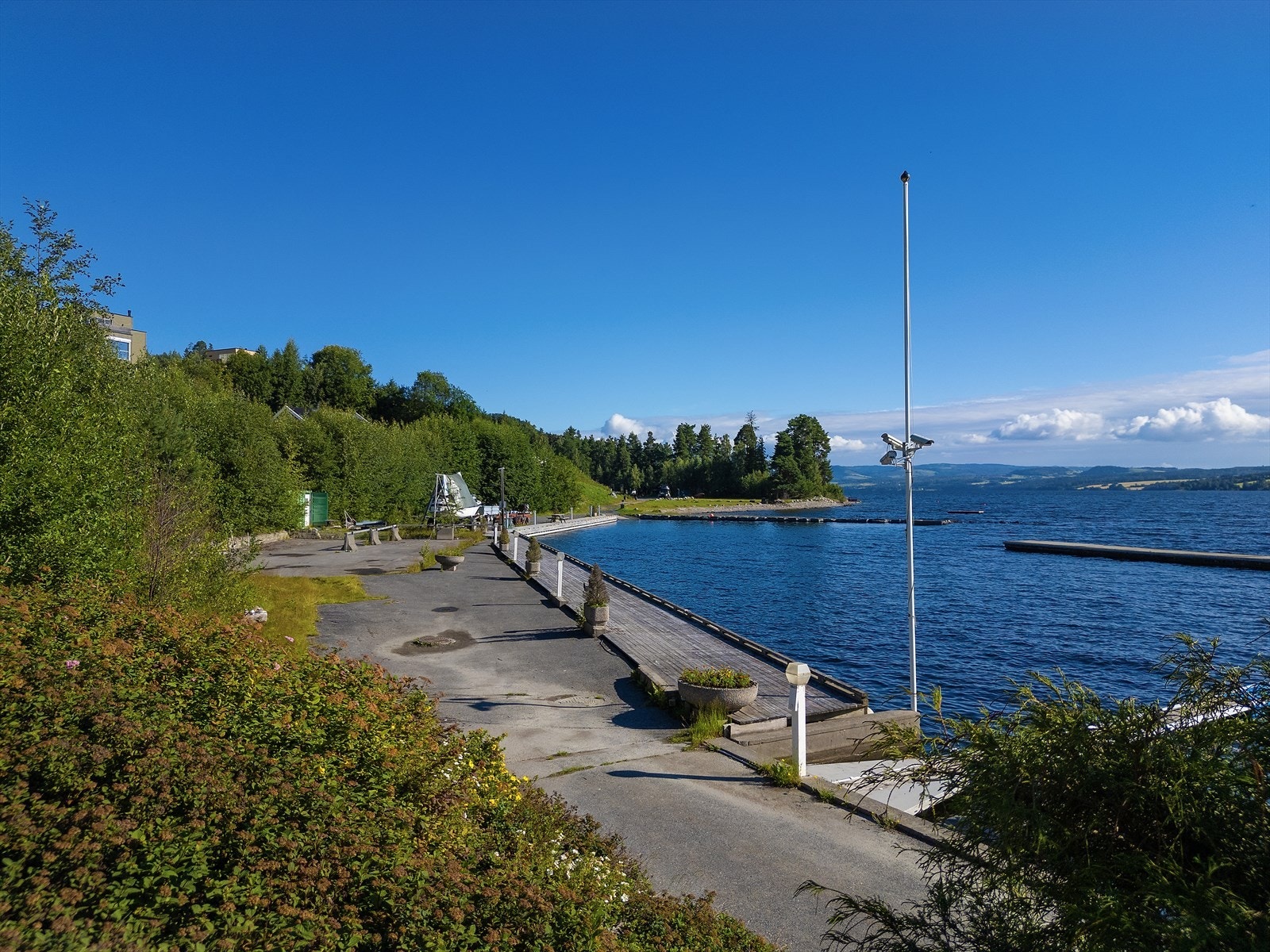 Fra området. Galleribilde