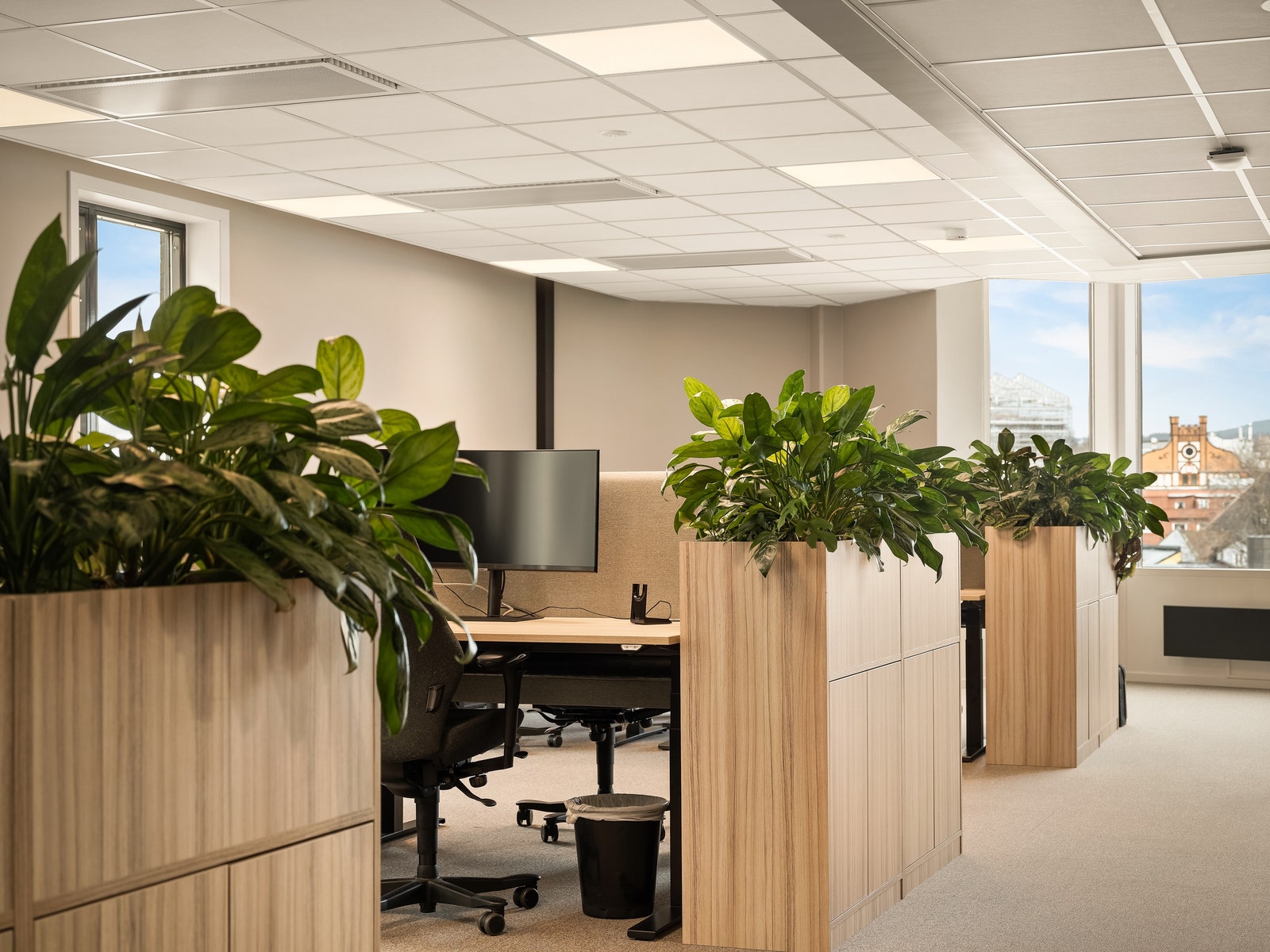 Grønne planter sørger for hyggelig atmosfære på kontoret Galleribilde