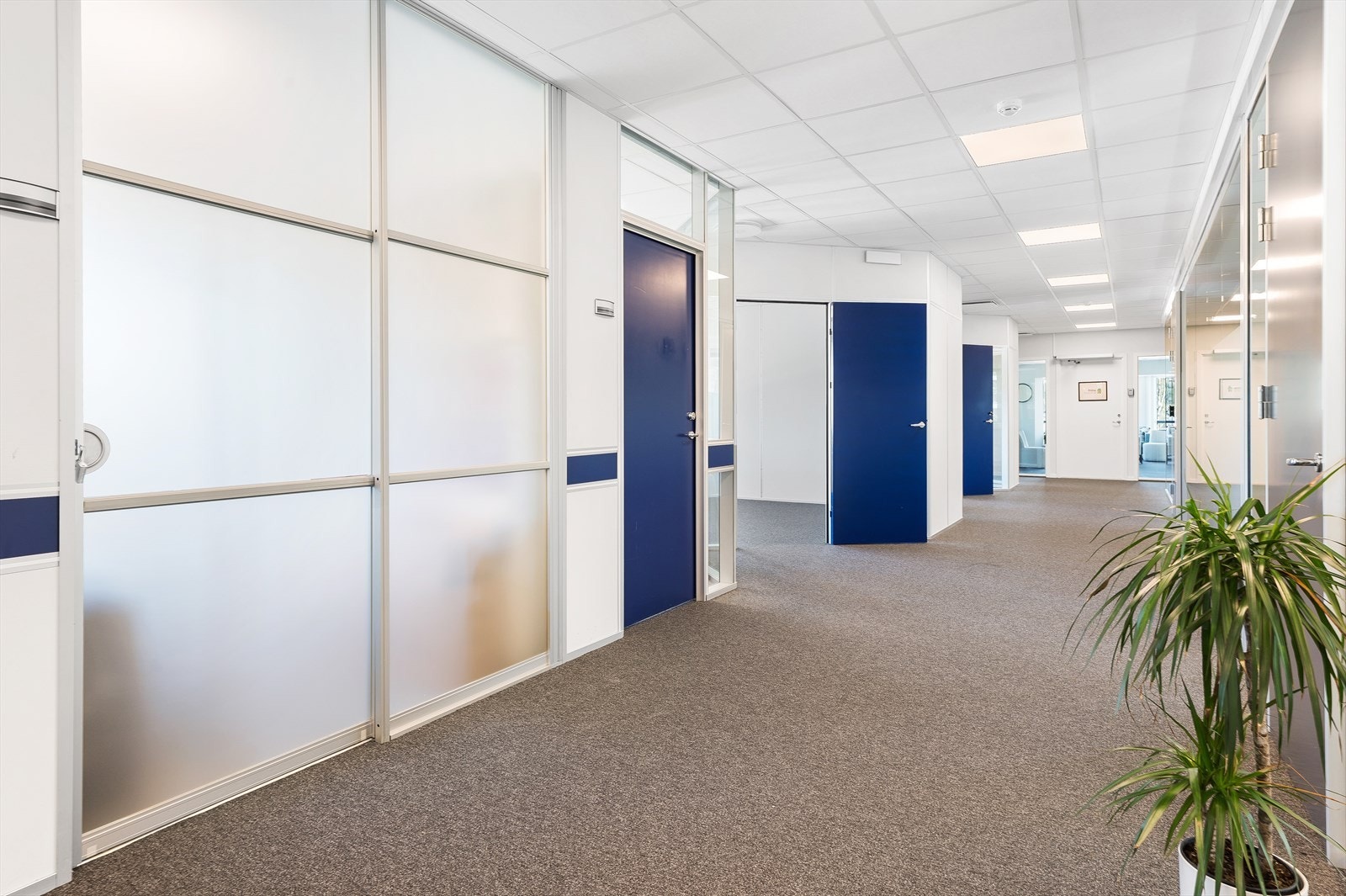 Bilde fra eksisterende kontorfellesskap. Galleribilde