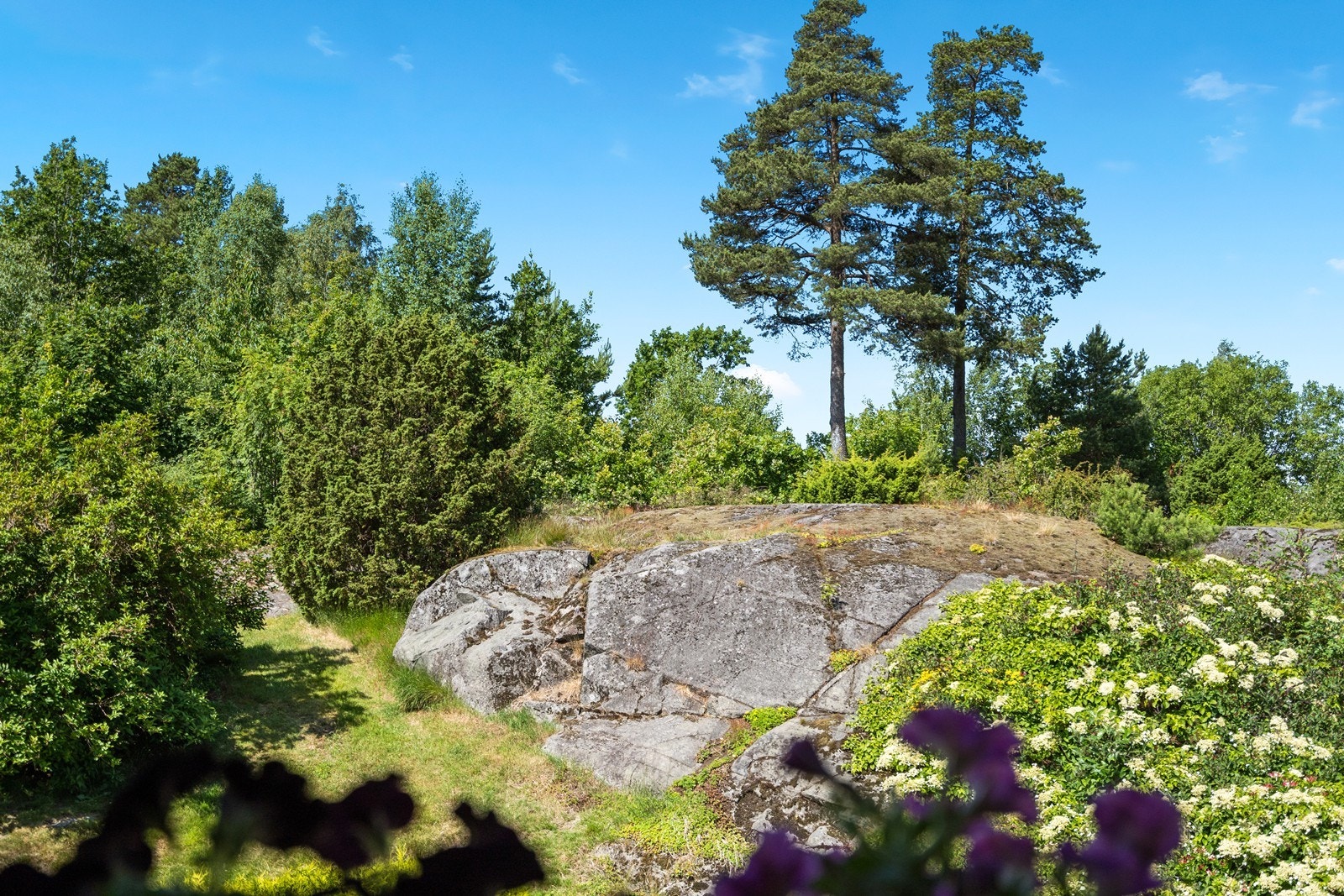 Det er utsikt mot naturen som ligger tett på. Galleribilde