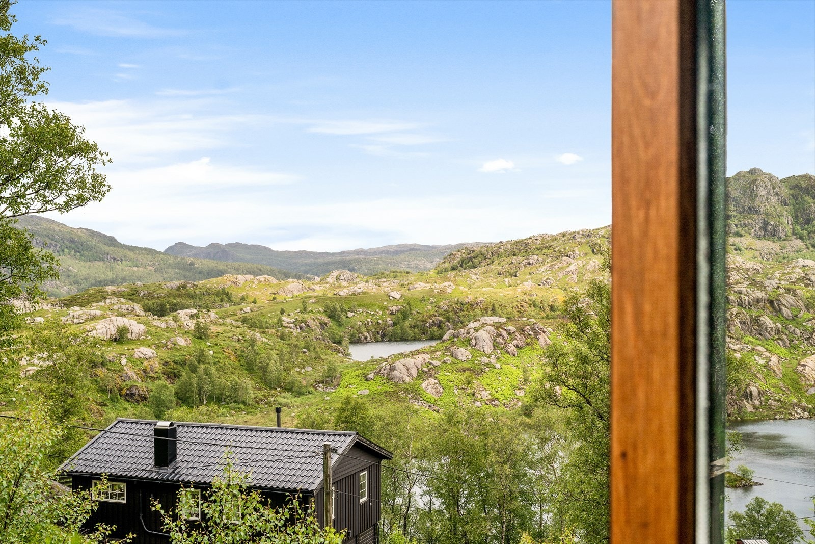 Utsikt. Galleribilde