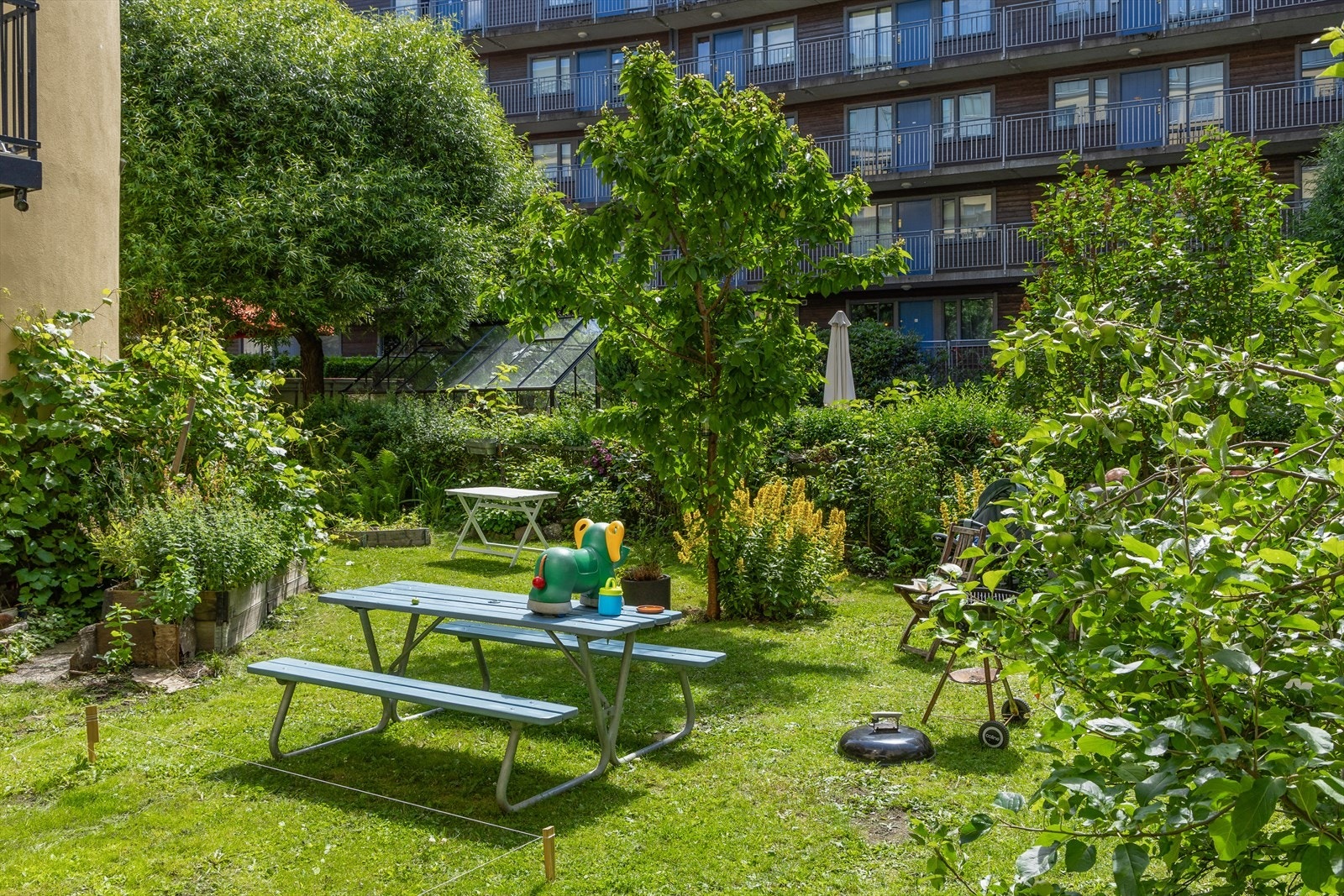 Frodig bakgård med gressplen og beplantning. Galleribilde