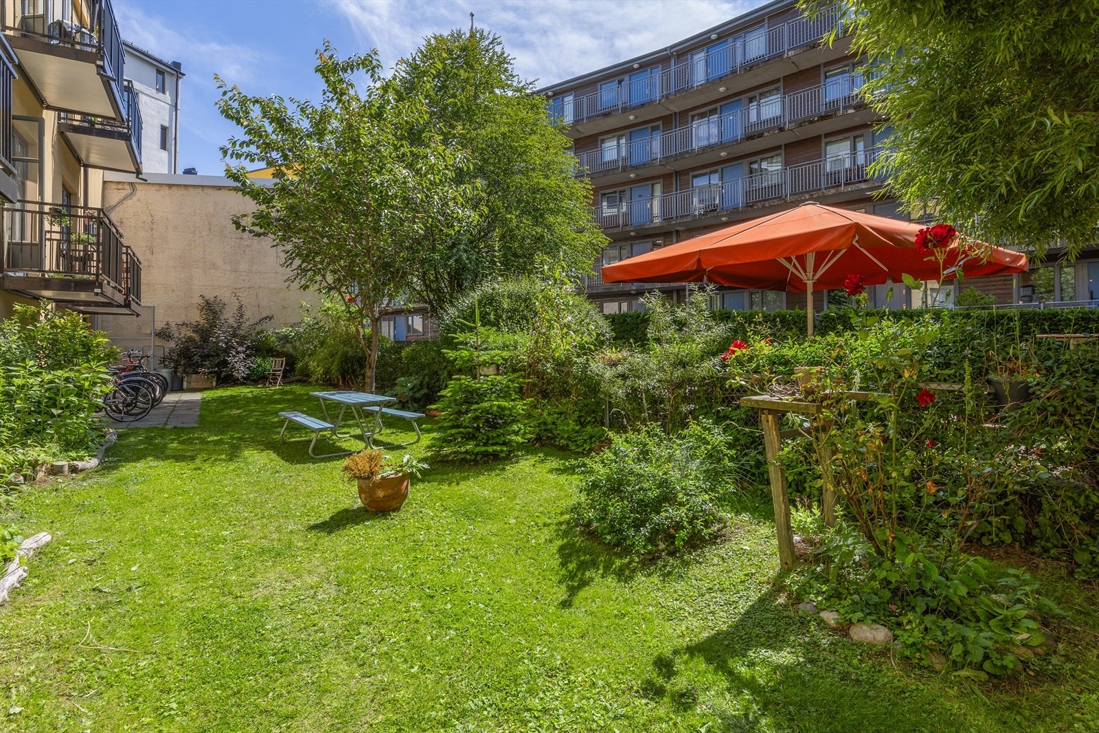 Herlig bakgårdsidyll. Galleribilde