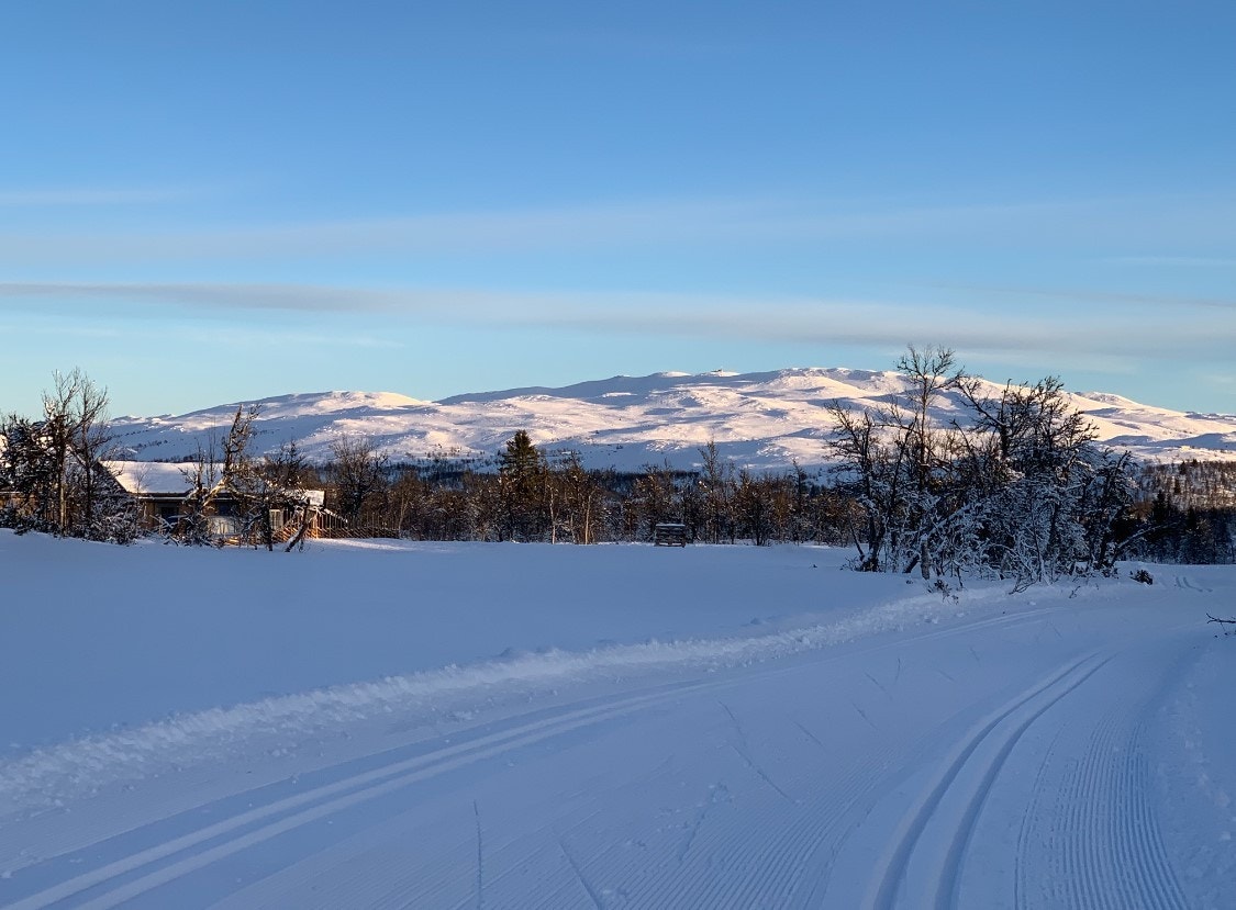 Fra skiløype rett bak hytta Galleribilde