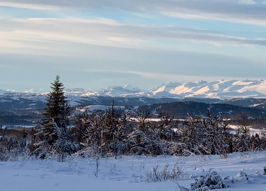 Utsikt mot Jotunheimen fra området Galleribilde