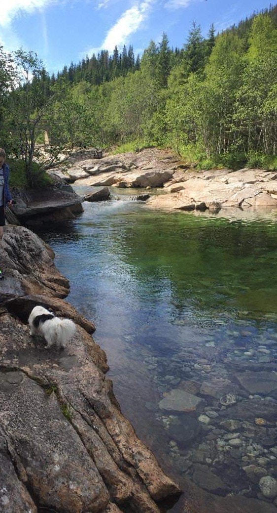 Fin badeplass.jpg Galleribilde