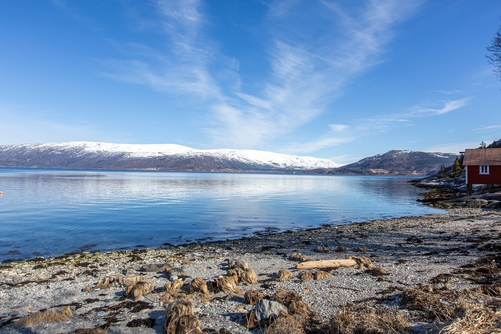 Deilig å bade i sjøen en varm sommerdag Galleribilde
