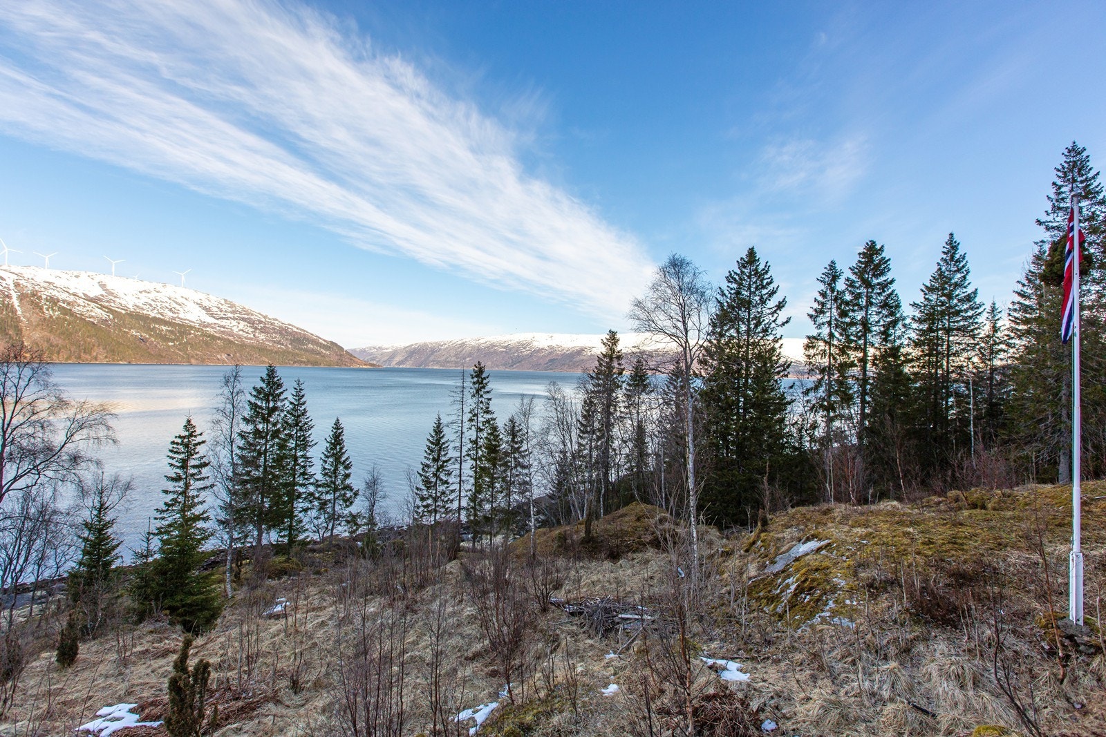 Utsikt fra terrassen Galleribilde