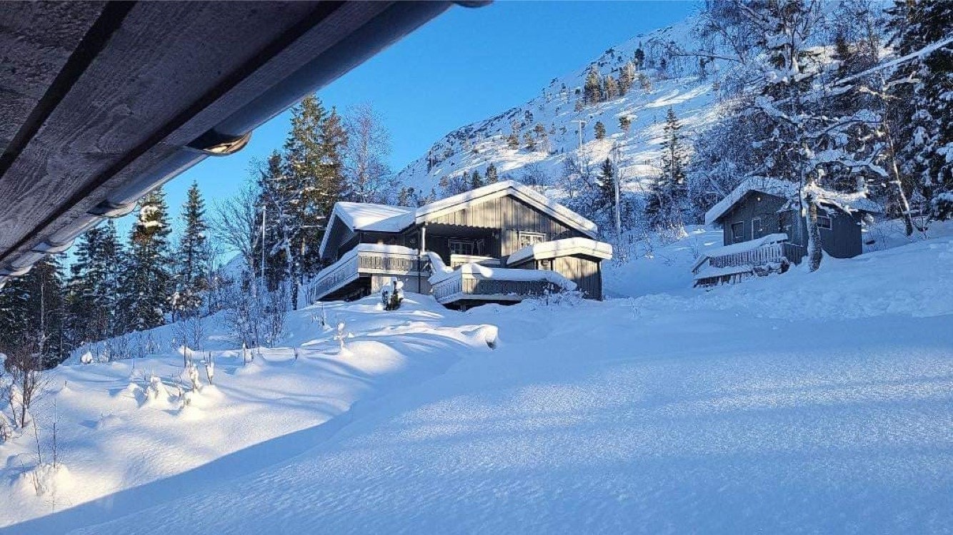 Vinter i Vikdalen Galleribilde