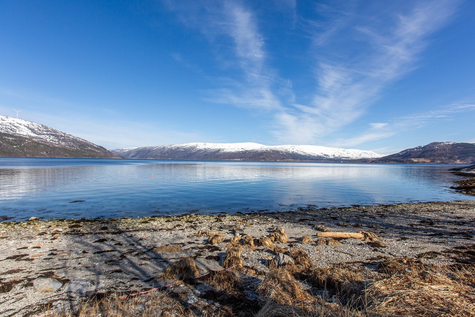 Nede i fjæra Galleribilde