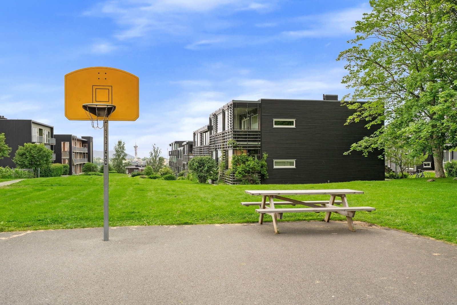 Nærområde. Galleribilde