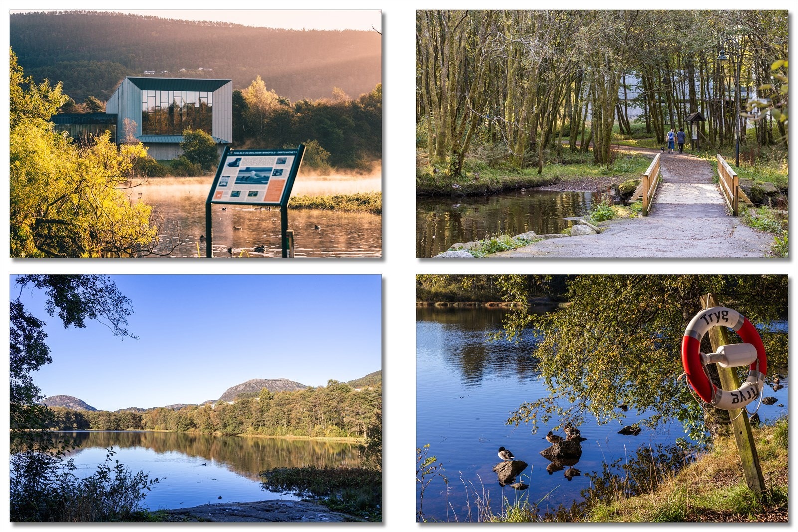 Området byr på et godt utvalg av treningssentre, herunder Sats Oasen, Sky Fitness Fyllingsdalen og MOVA Fyllingsdalen. Dersom utendørs mosjon er å foretrekke er det også flere flotte turmuligheter i umiddelbar nærhet. Galleribilde