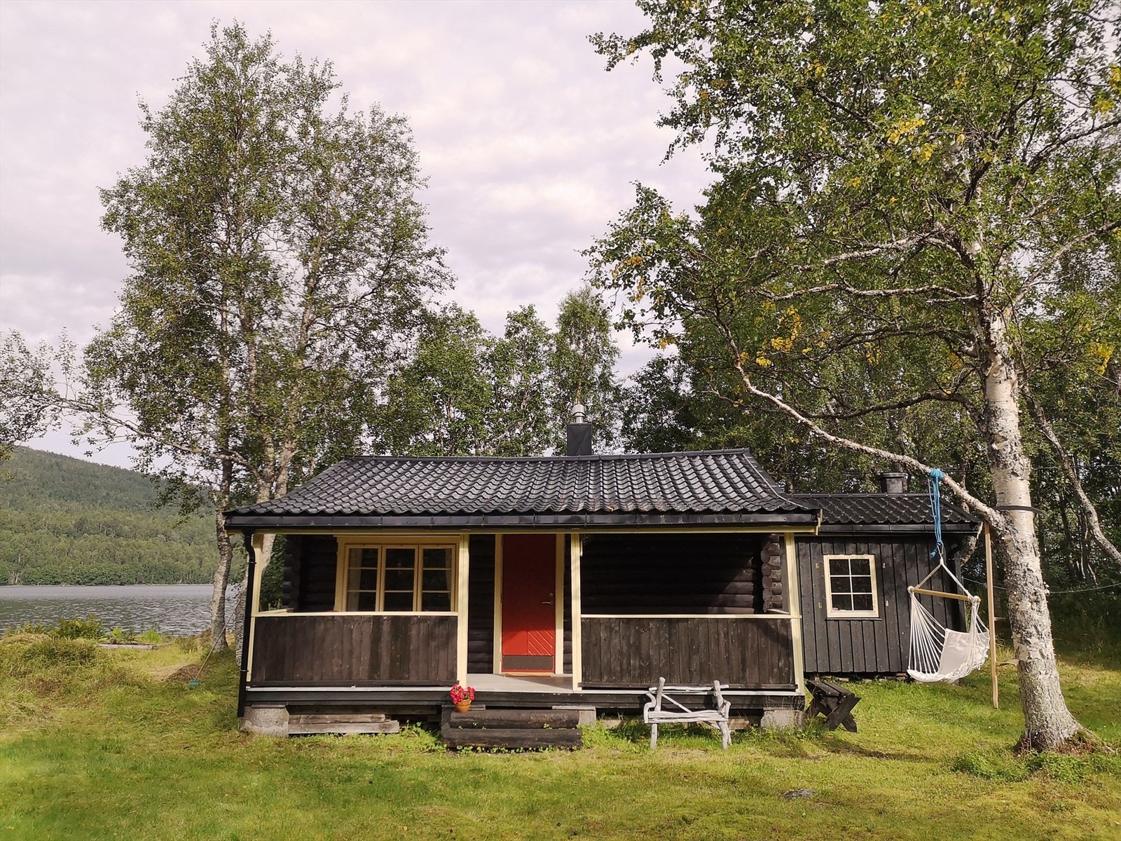 Selgers eget album: Fasade sommer Galleribilde