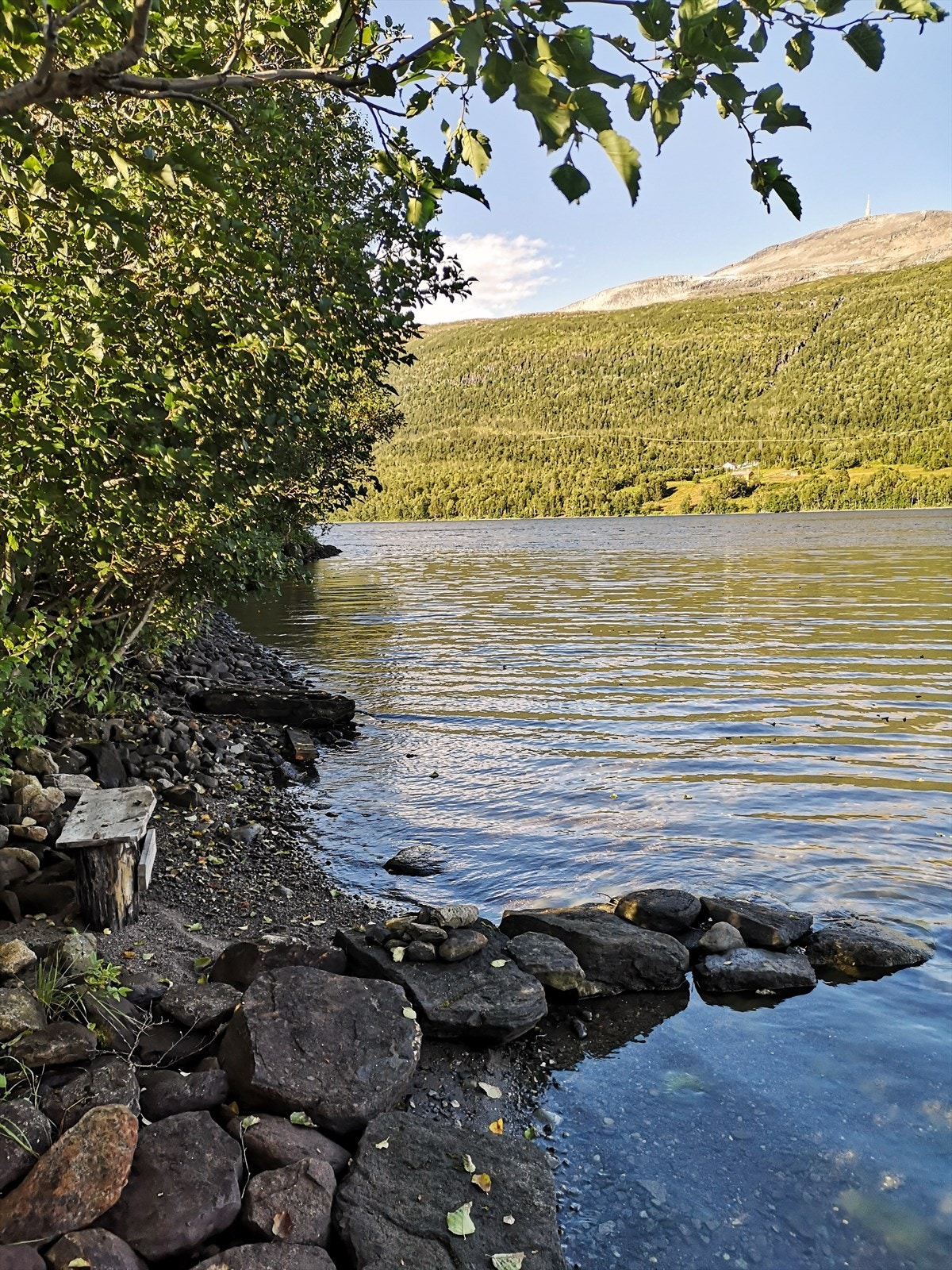 Selgers eget album: Liten badeplass rett bak hovedhytta. Større badebukt ca. 100 meter fra hytta Galleribilde