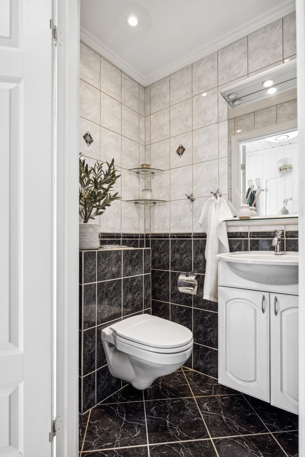 Toalett Galleribilde