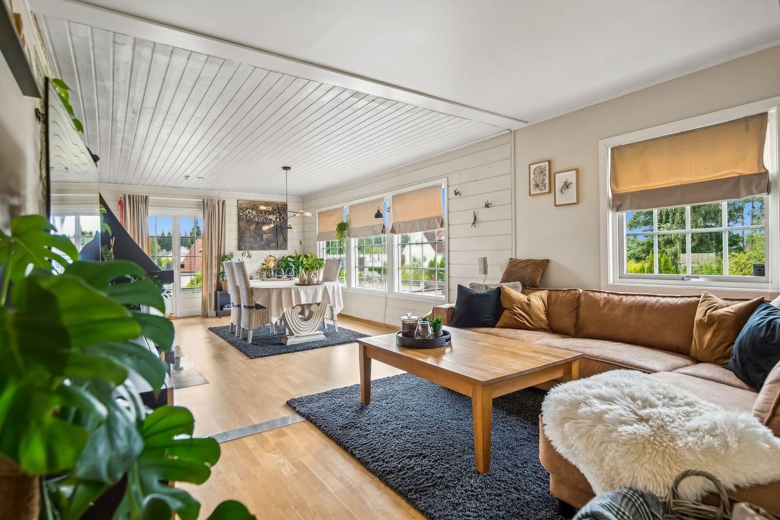 Store vindusflater slipper inn rikelig med naturlig lys Galleribilde